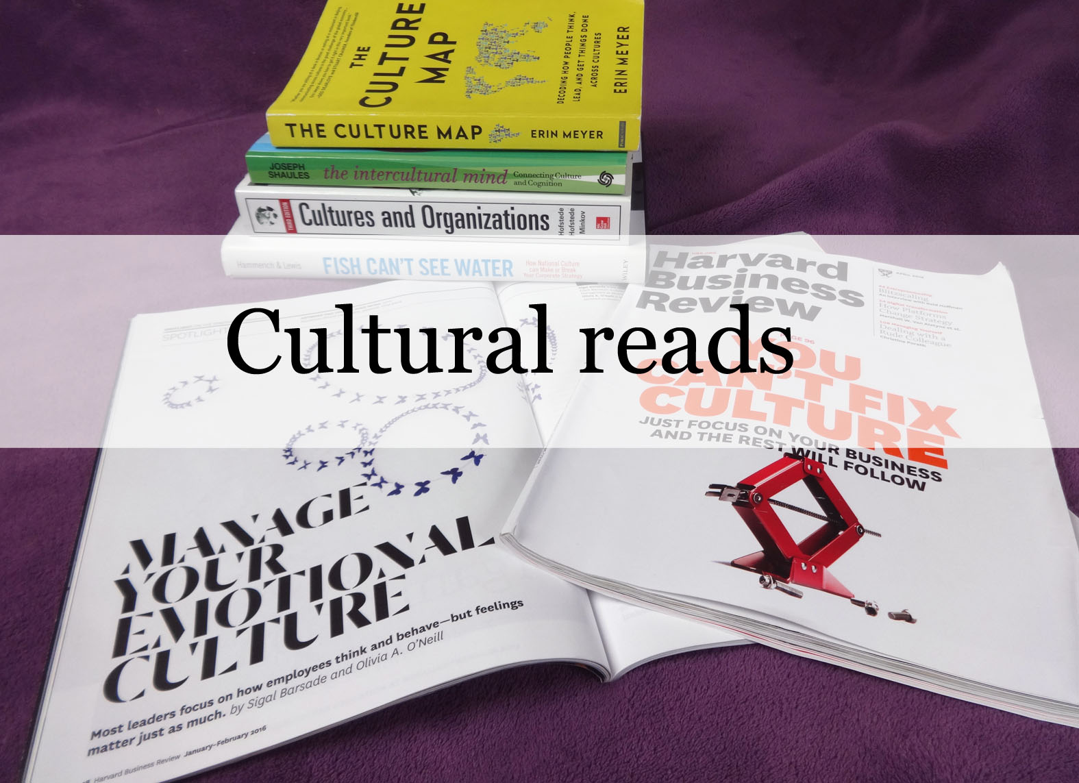 Cultural reads_ProjectAbroad.Eu